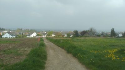 Baugebiet Alfter