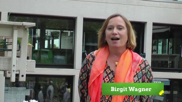 Grüne Themen zur Kommunalwahl 2020